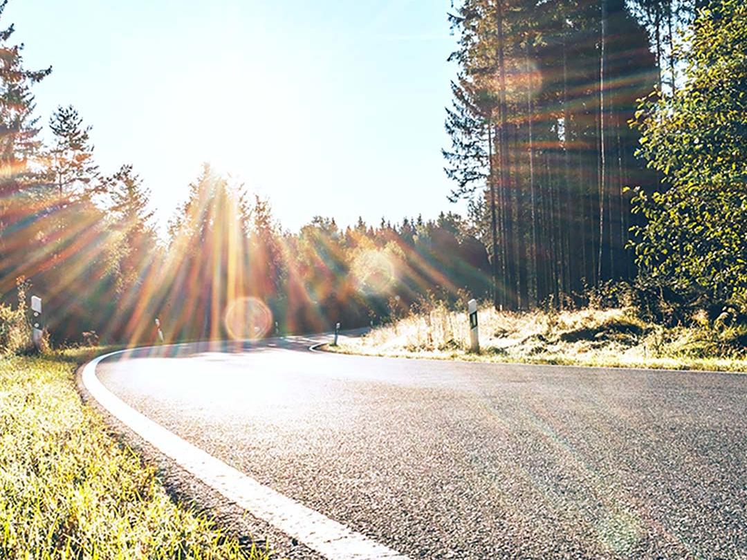 Obrázok s posuvníkom, kde jedna polovica zobrazuje cestu v lese s jasným svetlom zo slnka a druhá polovica tú istú cestu so zníženým oslnením a zvýšeným kontrastom, čím zdôrazňuje účinok polarizačných šošoviek slnečných okuliarov.