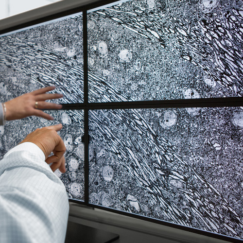 Obrázok štyroch obrazoviek ukazujúci obrazy nasnímané mikroskopom ZEISS MultiSEM. 